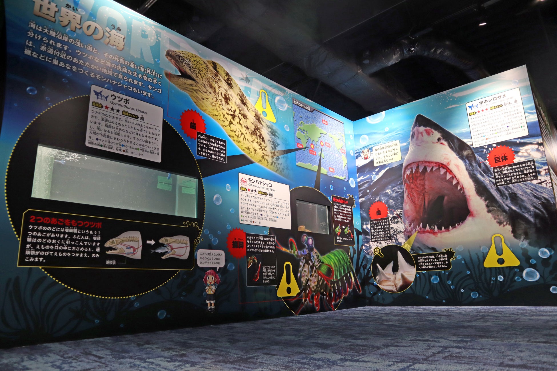 ゴールデンウィークはカワスイで ちょっぴり危険 なひとときを カワスイ 角川の集める図鑑get 世界の危険生物展 開催 株式会社kadokawaのプレスリリース ゴールデンウィークはカワスイで ちょっぴり危険 なひとときを カワスイ 角川の集める図鑑get 世界の危険生物展 開催 株式会社kadokawaのプレスリリース