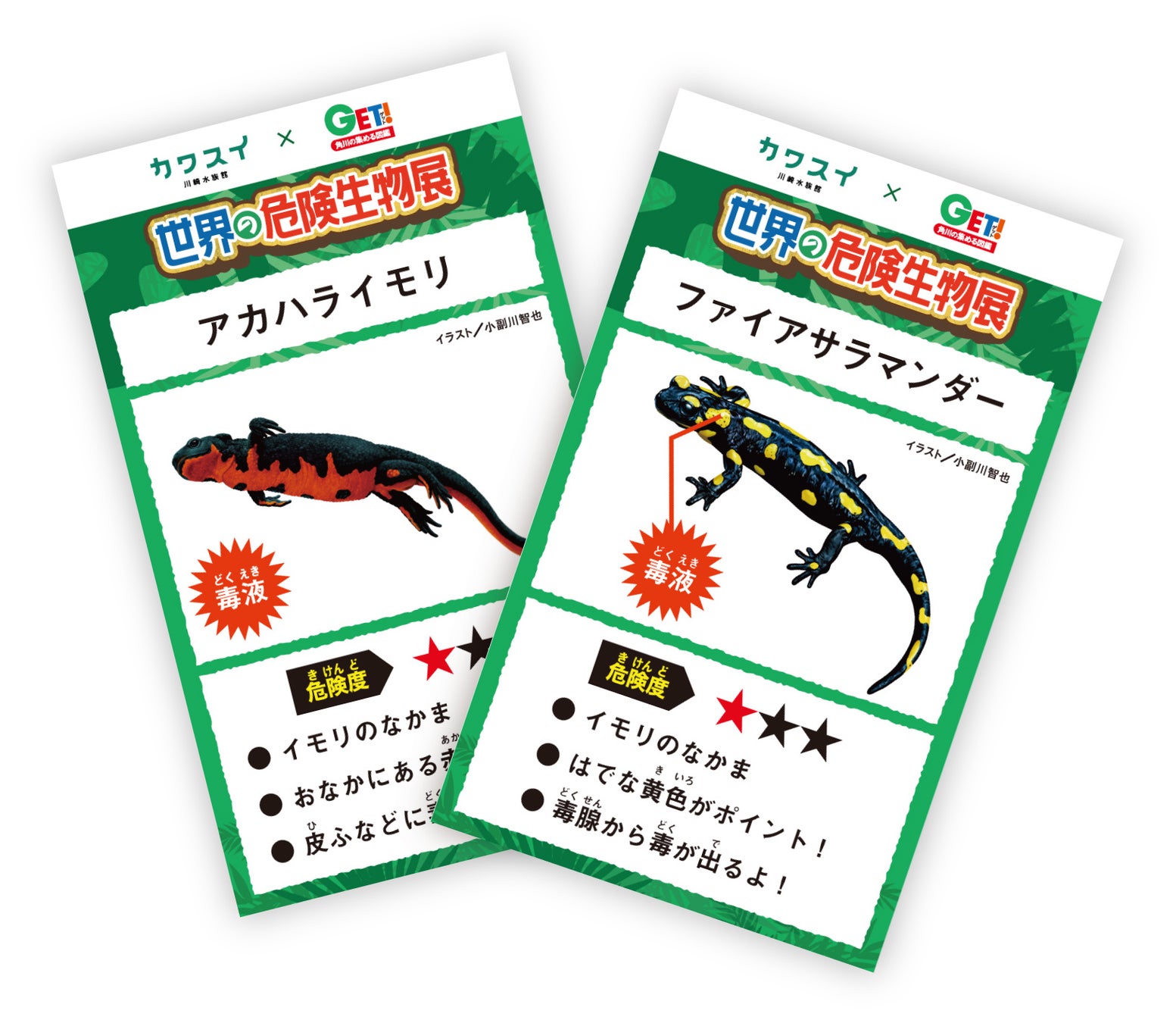 ゴールデンウィークはカワスイで ちょっぴり危険 なひとときを カワスイ 角川の集める図鑑get 世界の危険生物 展 開催 株式会社kadokawaのプレスリリース ゴールデンウィークはカワスイで ちょっぴり危険 なひとときを カワスイ 角川の集める図鑑get 世界の危険生物 展 開催 株式会社kadokawaのプレスリリース