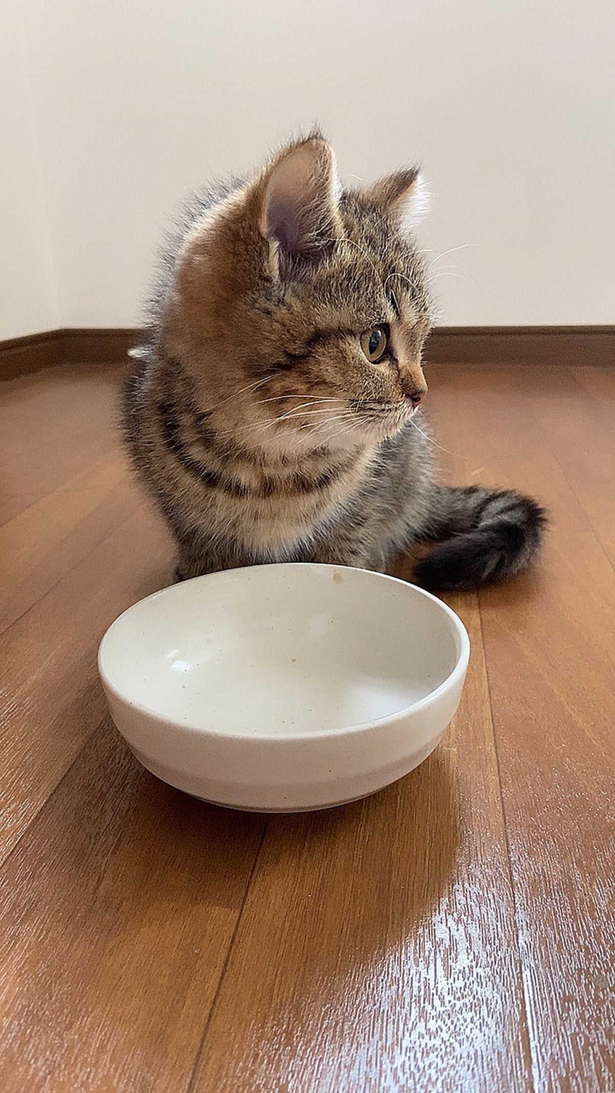 「ぼくのご飯、ママ食べちゃった？」