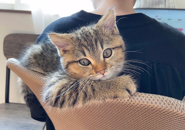 「そこの美しいお嬢さん、ぼくと一杯いかがですか？ すぐそこに、いいバーがあるんですよ。」