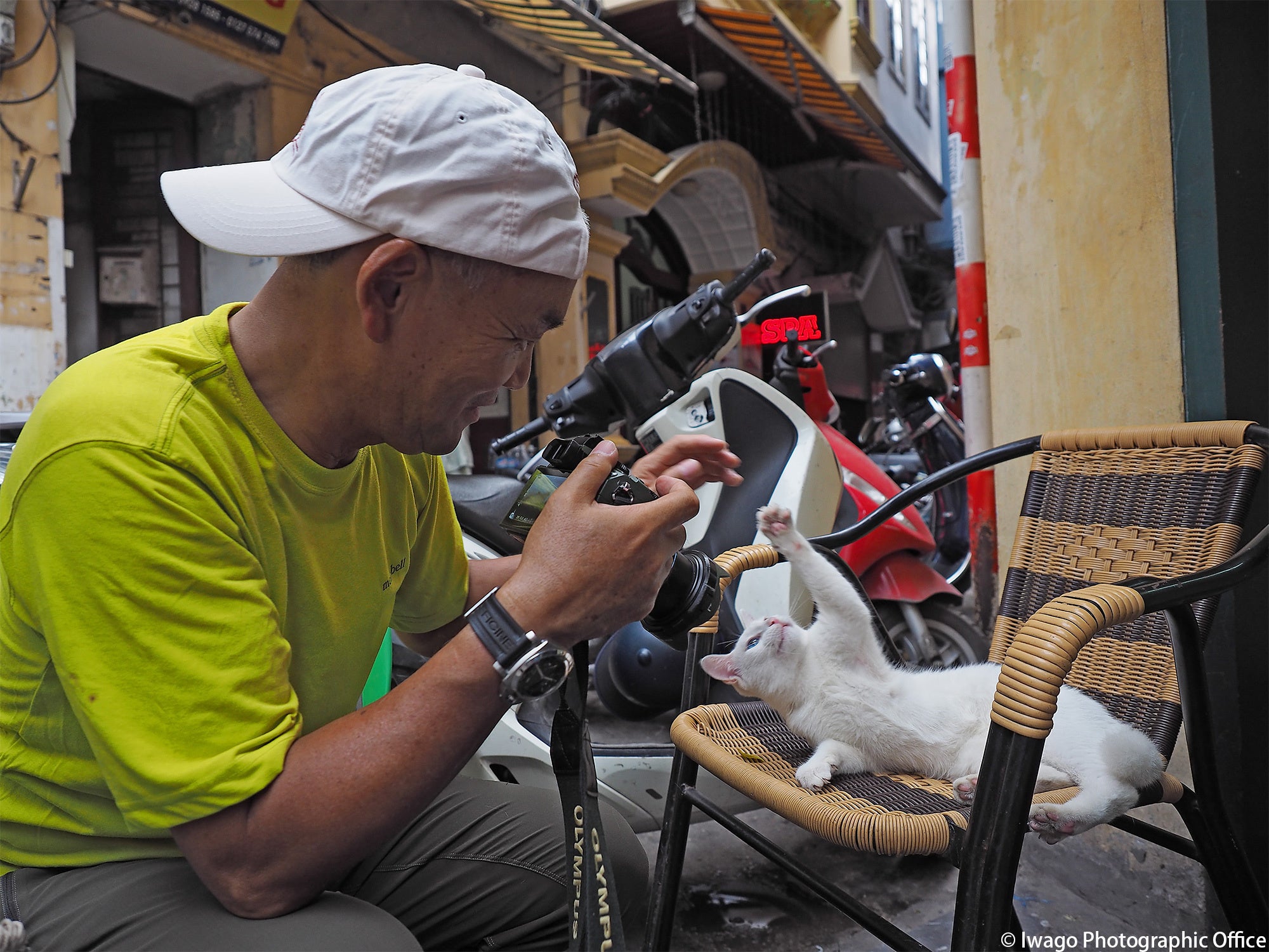 © Iwago Photographic Office