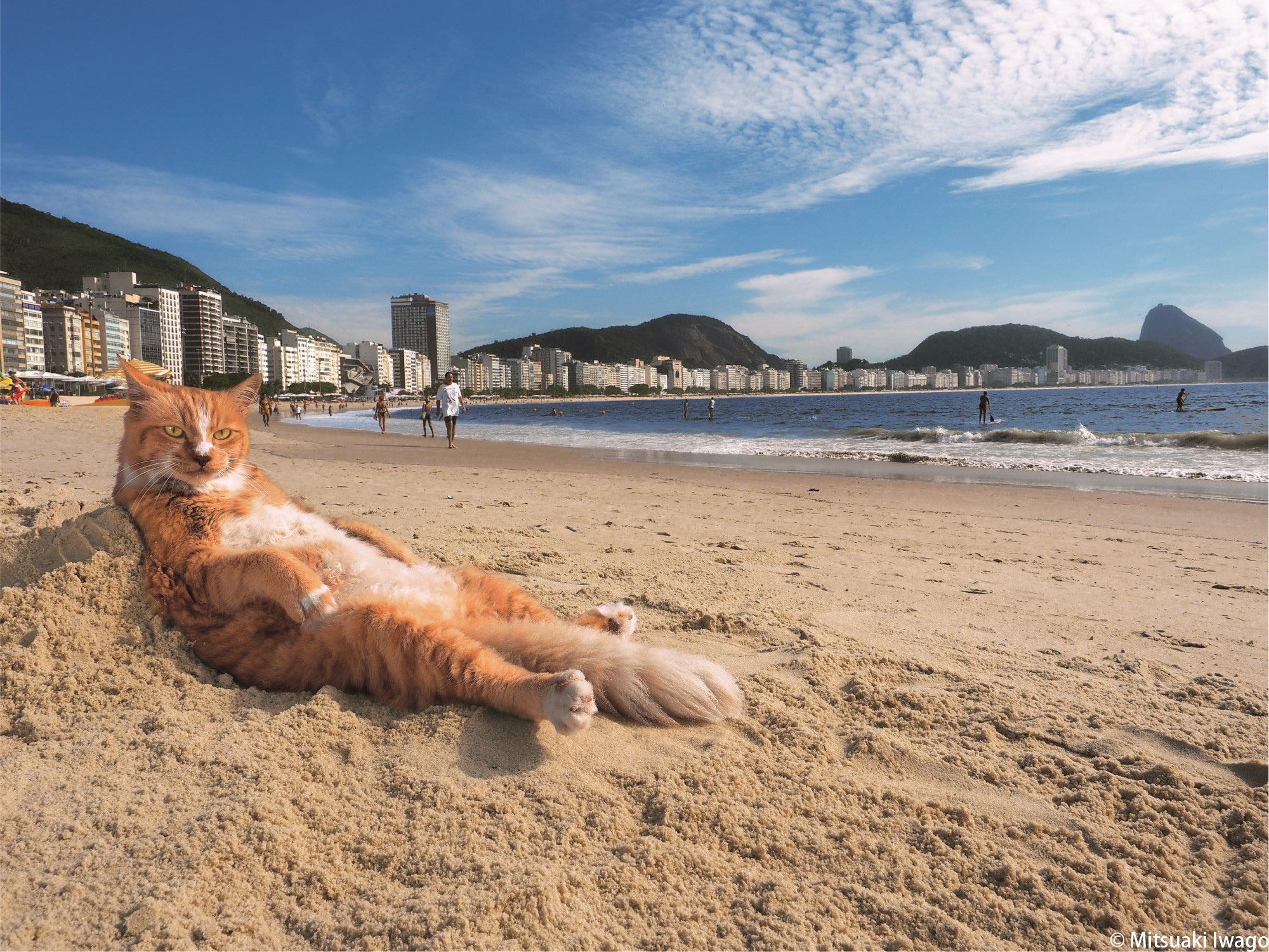 ブラジル／リオデジャネイロ　© Mitsuaki Iwago