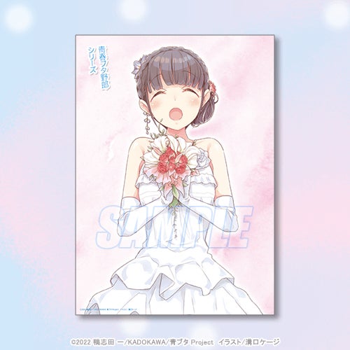 新作アニメ制作決定記念! 電撃文庫の人気作品『青春ブタ野郎