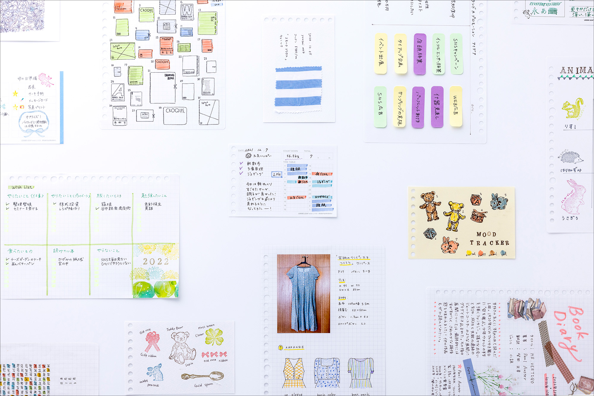 撮影／文田 信基（fort）