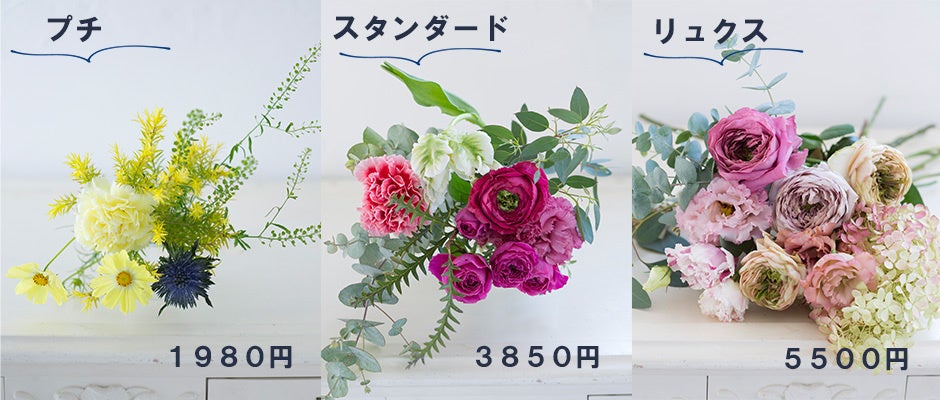 花のある暮らしを提唱するメディア『花時間』が、花の定期便(サブスク)サービスを開始! 心ときめく花の時間をお届けします!