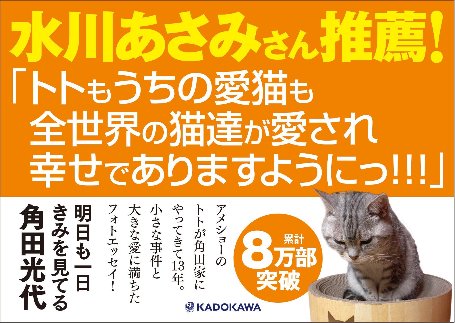 角田光代『明日も一日きみを見てる』KADOKAWA_書店店頭用POP画像