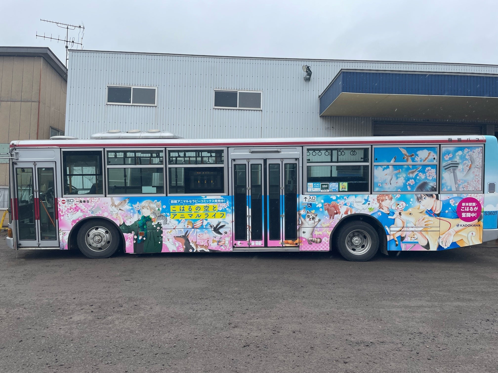 実際の掲出写真_1