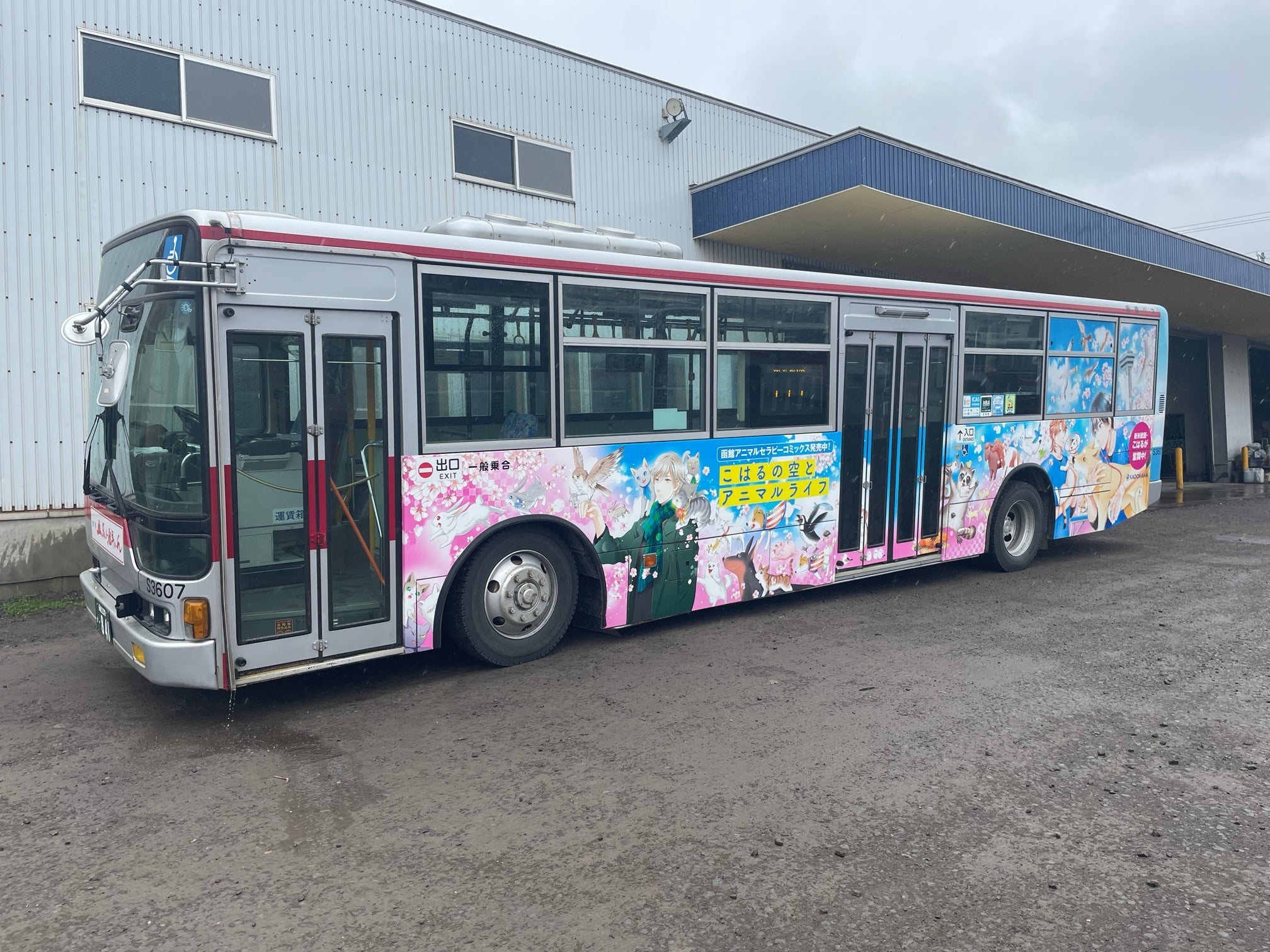 実際の掲出写真_2