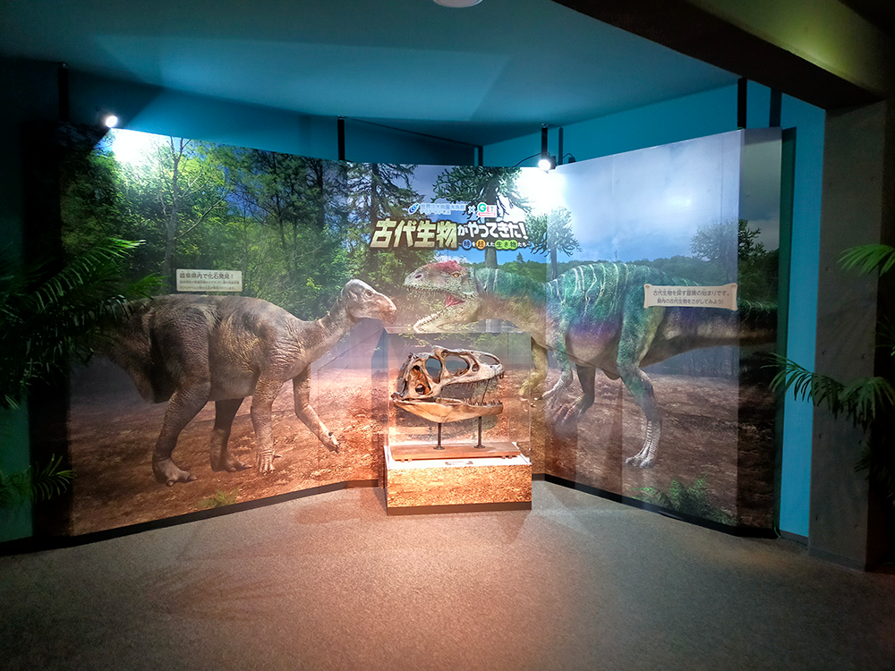 常設展を含めた館内全体で企画展の世界を味わえる