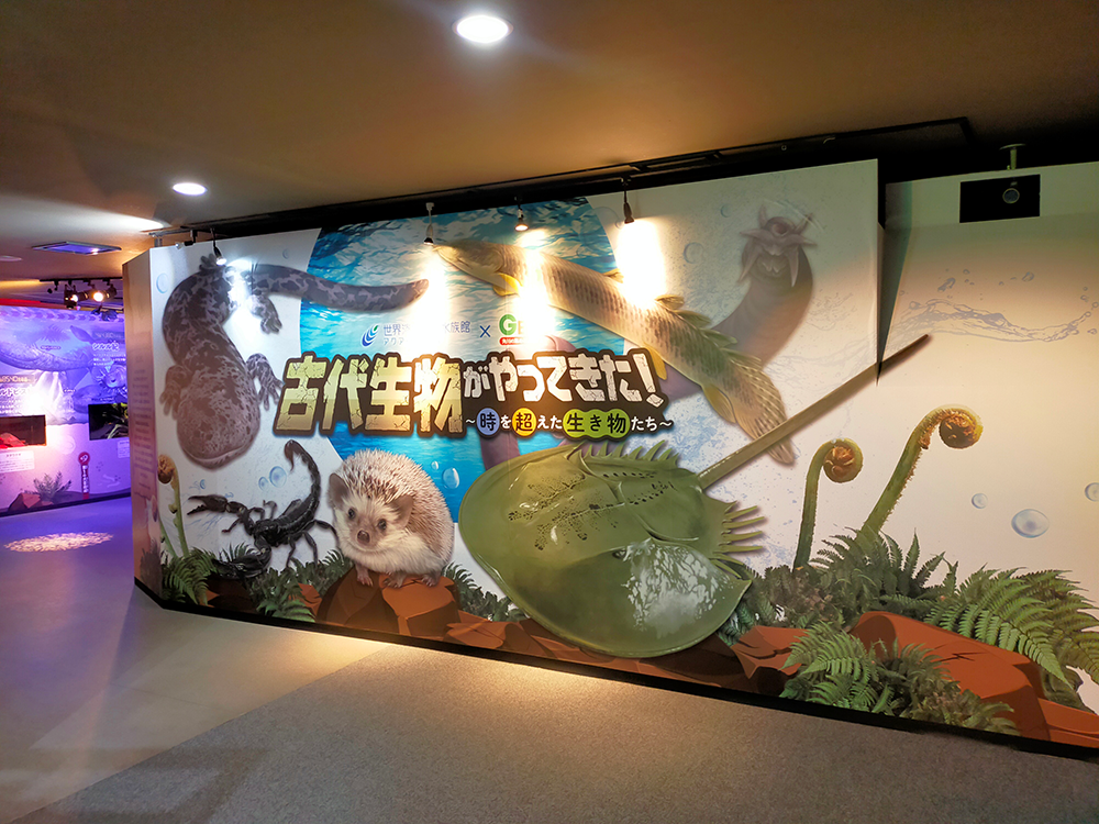 カブトガニ、ヌタウナギ、ハリネズミ…などキーとなる生き物たちがリアルに描かれた企画展入口