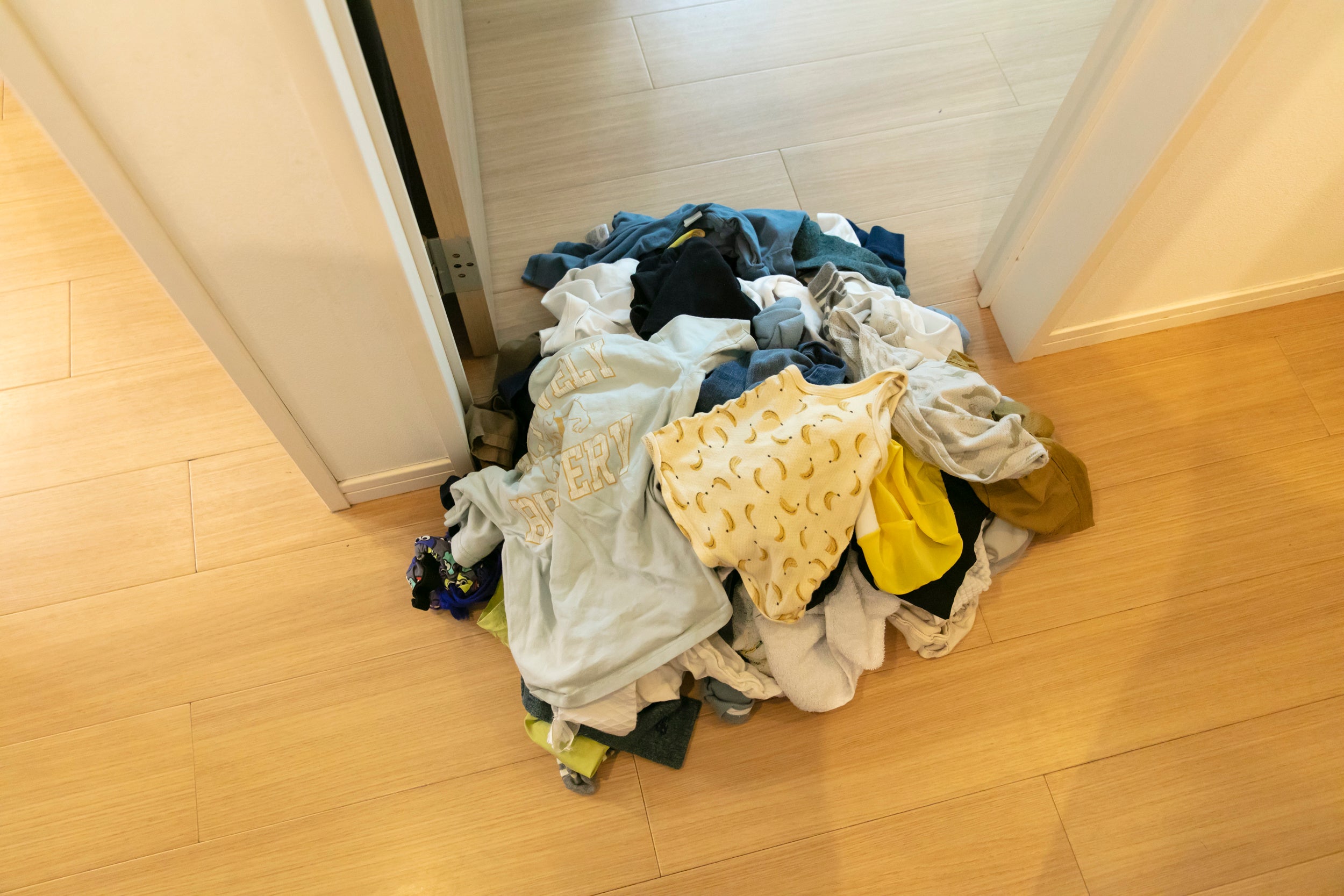 撮影／布施鮎美