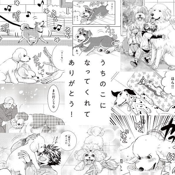 11月1日は犬の日!DOG SIGNAL×犬の日「うちのこ」との時間を大切に