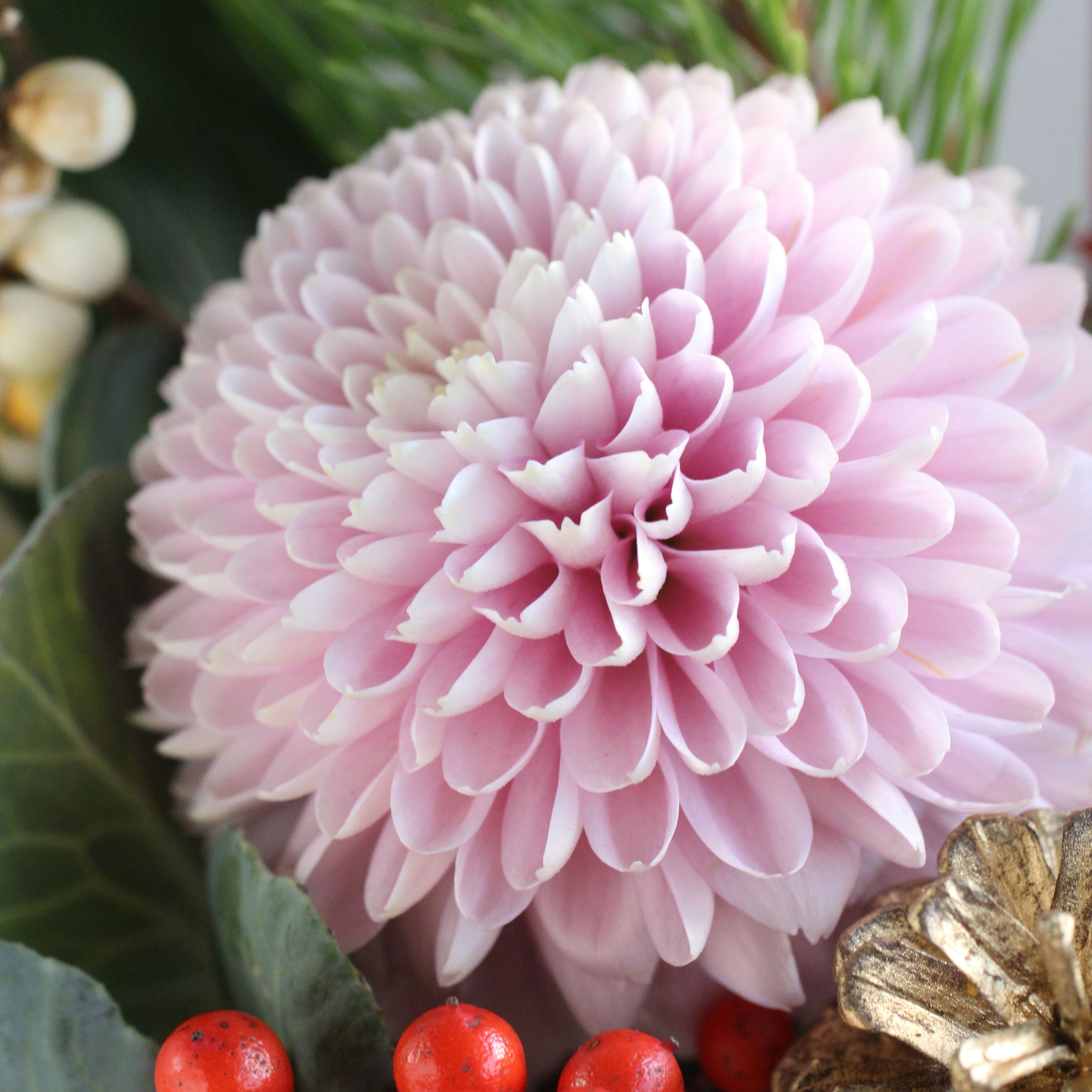 あひる　まり菊、松、南天蓮の実のお正月飾り あひる様専用 まり菊、松、南天蓮の実のお正月飾り 【公式通販】