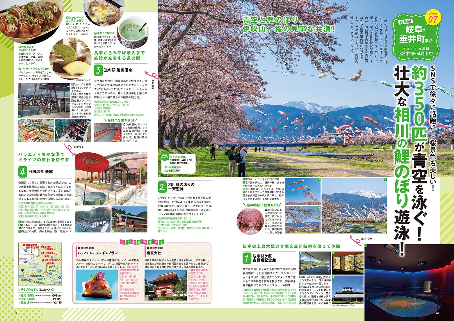 岐阜県垂井町の、鯉のぼりと桜が織りなす絶景