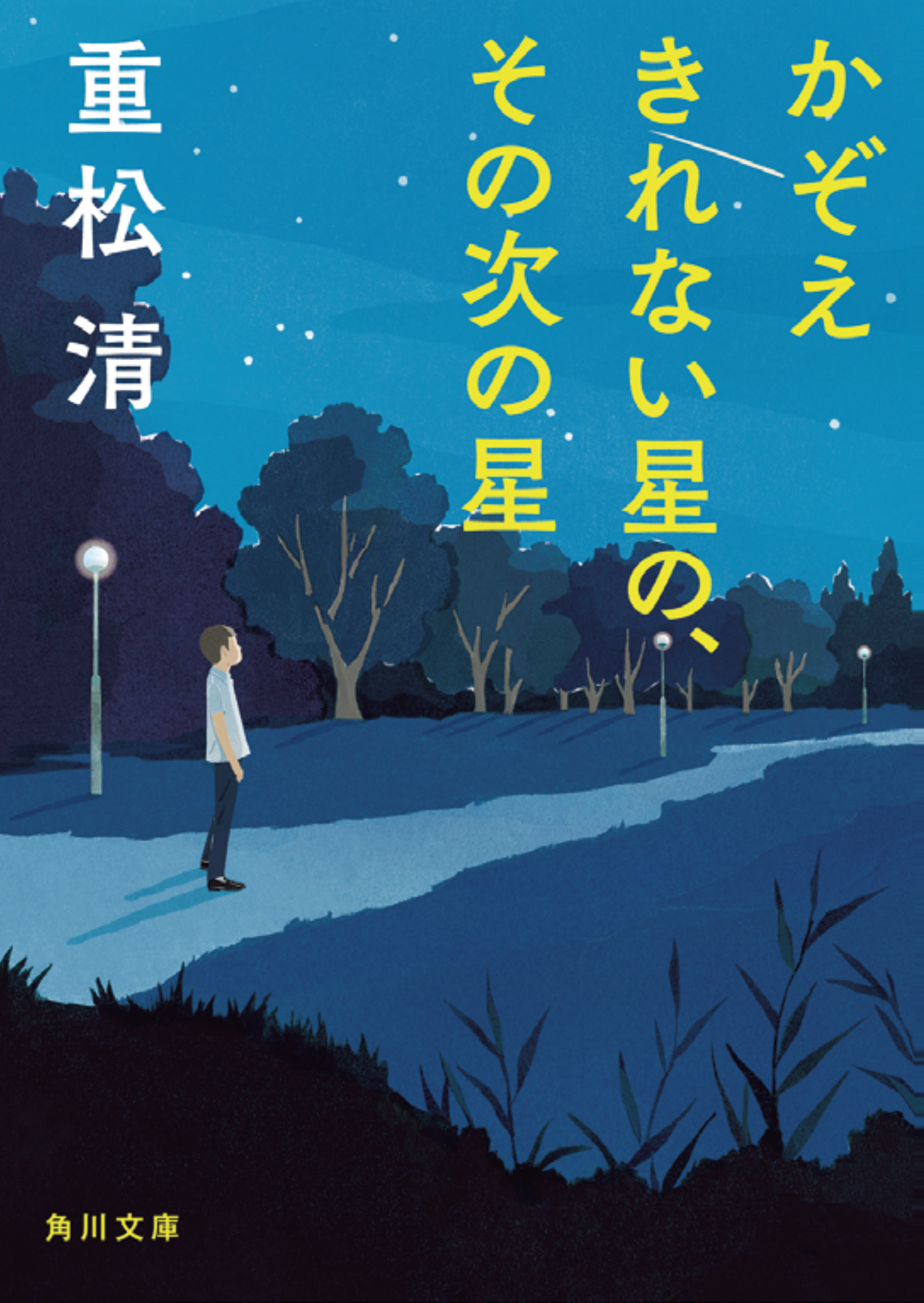 『かぞえきれない星の、その次の星』