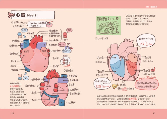 読めば解剖生理学が好きになる! 1000点以上の可愛いイラストが収録された『ゆるっとポップな解剖生理学 からだずかん』が登場! | 株式会社 ...