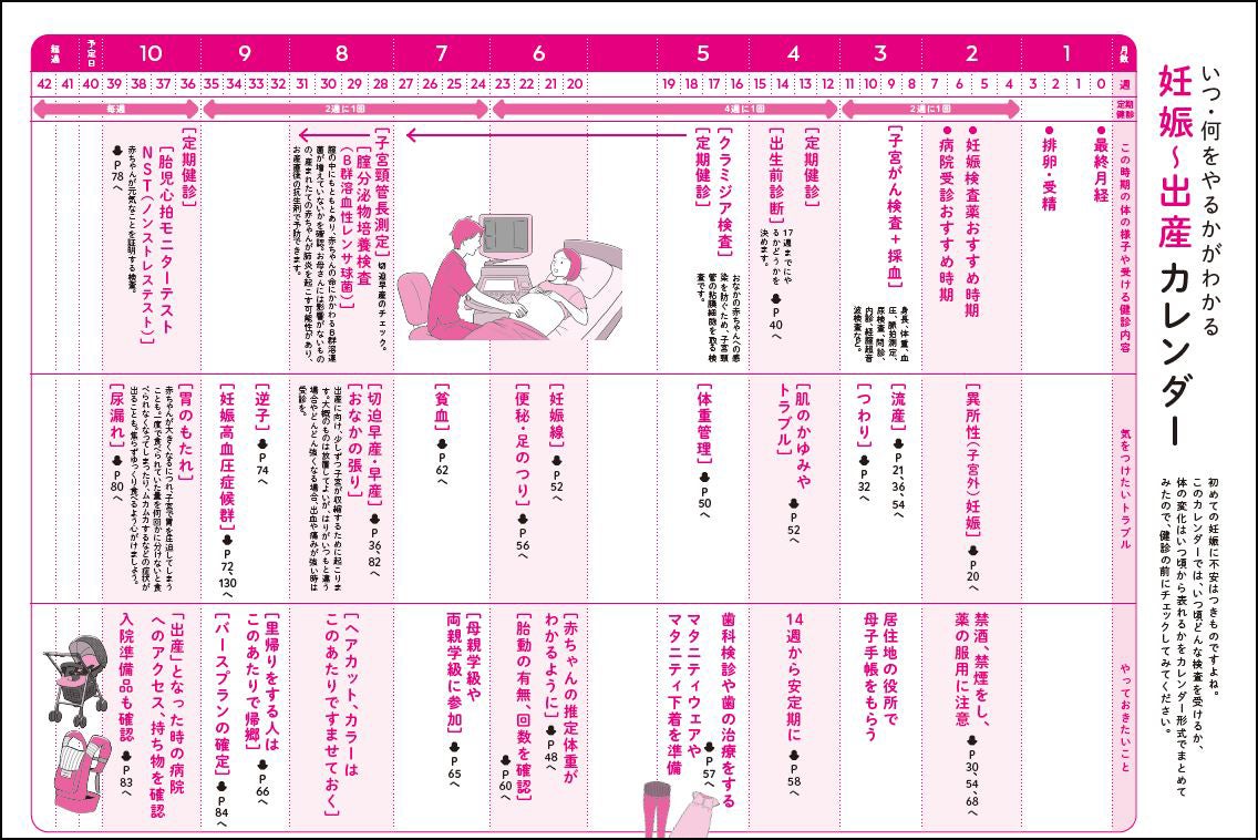 活動歴および当時の関連ビジュアル記録