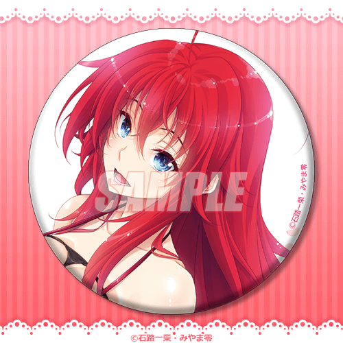 PR水着姿の女神 リアス含む ファンタジア文庫 ハイスクールD×D