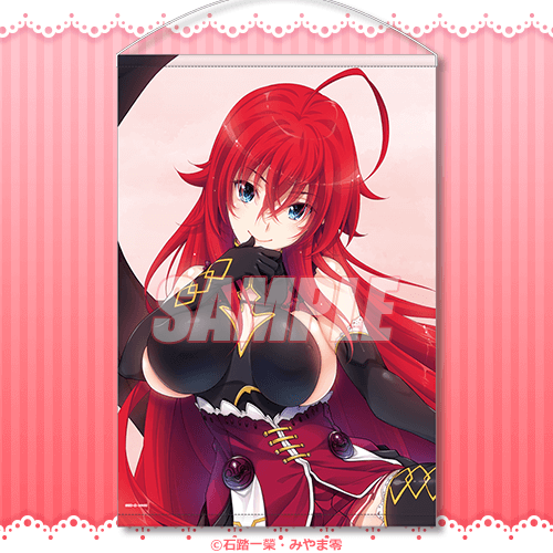 富士見ファンタジア文庫の人気作品『ハイスクールD×D』に登場する