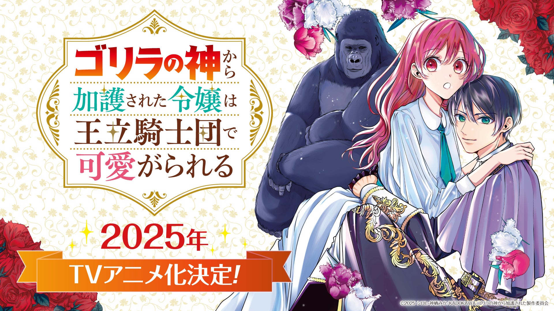 『ゴリラの神から加護された令嬢は王立騎士団で可愛がられる』前代未聞!ゴリ・ラブコメが2025年 TVアニメ化決定!
