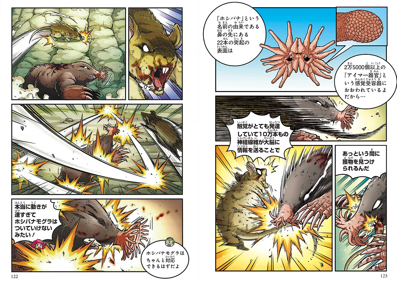 モミジ 世界陶磁全集 1巻から10巻 モミジ様専用 世界陶磁全集 1