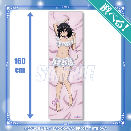 キュートな猫衣装にきゅん♡ 電撃文庫原作の、人気OVA作品