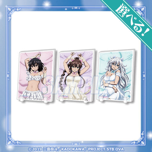 キュートな猫衣装にきゅん♡ 電撃文庫原作の、人気OVA作品