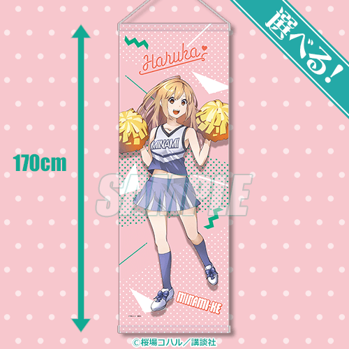 みなみけ 1〜19巻 DVD付き 桜場コハル DVD付き みなみけ(11)限定版 (