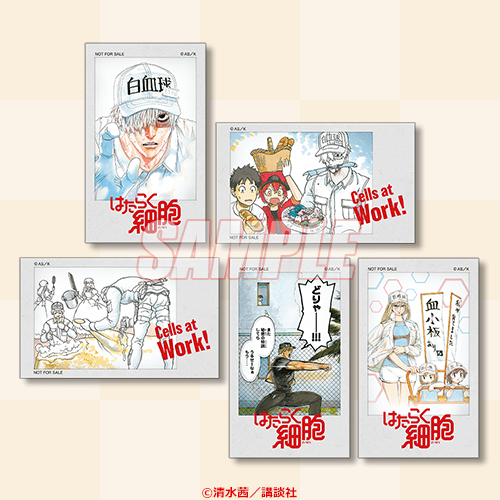 はたらく細胞　まとめ売り はたらく細胞』グッズ発売のお知らせ | 株式会社 スペースエイジ