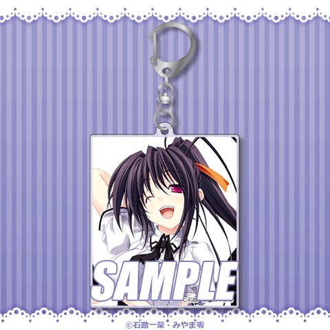 ハイスクールD×D アクマのおしごと ブックカバー NOT FOR SALE ハイ ハイスクールD×D アクマのおしごと ブックカバー NOT FOR SALE ハイ