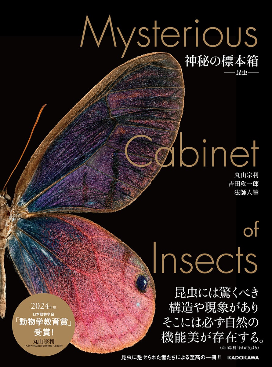 昆虫の超美麗写真集『神秘の標本箱 ‐昆虫‐』発売 2024年度「動物学教育 昆虫の超美麗写真集『神秘の標本箱 ‐昆虫‐』発売 2024年度「動物学教育
