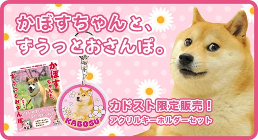 世界一有名な柴犬「Doge」の象徴 かぼすちゃんの写真集が期間限定で 世界一有名な柴犬「Doge」の象徴 かぼすちゃんの写真集が期間限定で