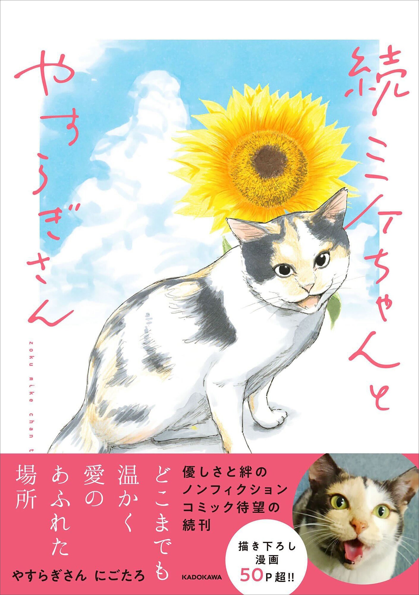 Xフォロワー6万人の看板猫！ 生まれつき3本脚のミケちゃんが、元気と