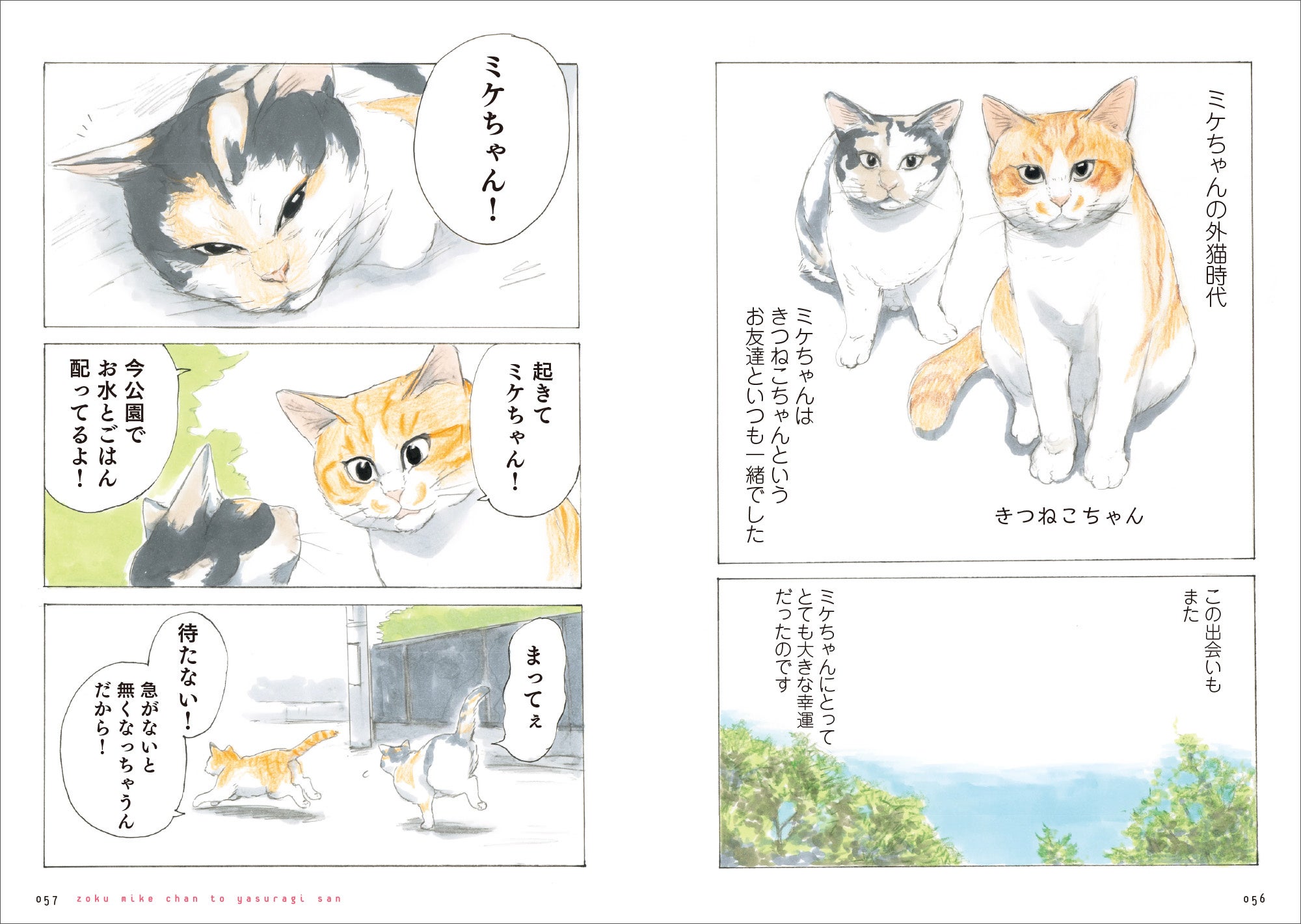 Xフォロワー6万人の看板猫！ 生まれつき3本脚のミケちゃんが、元気と