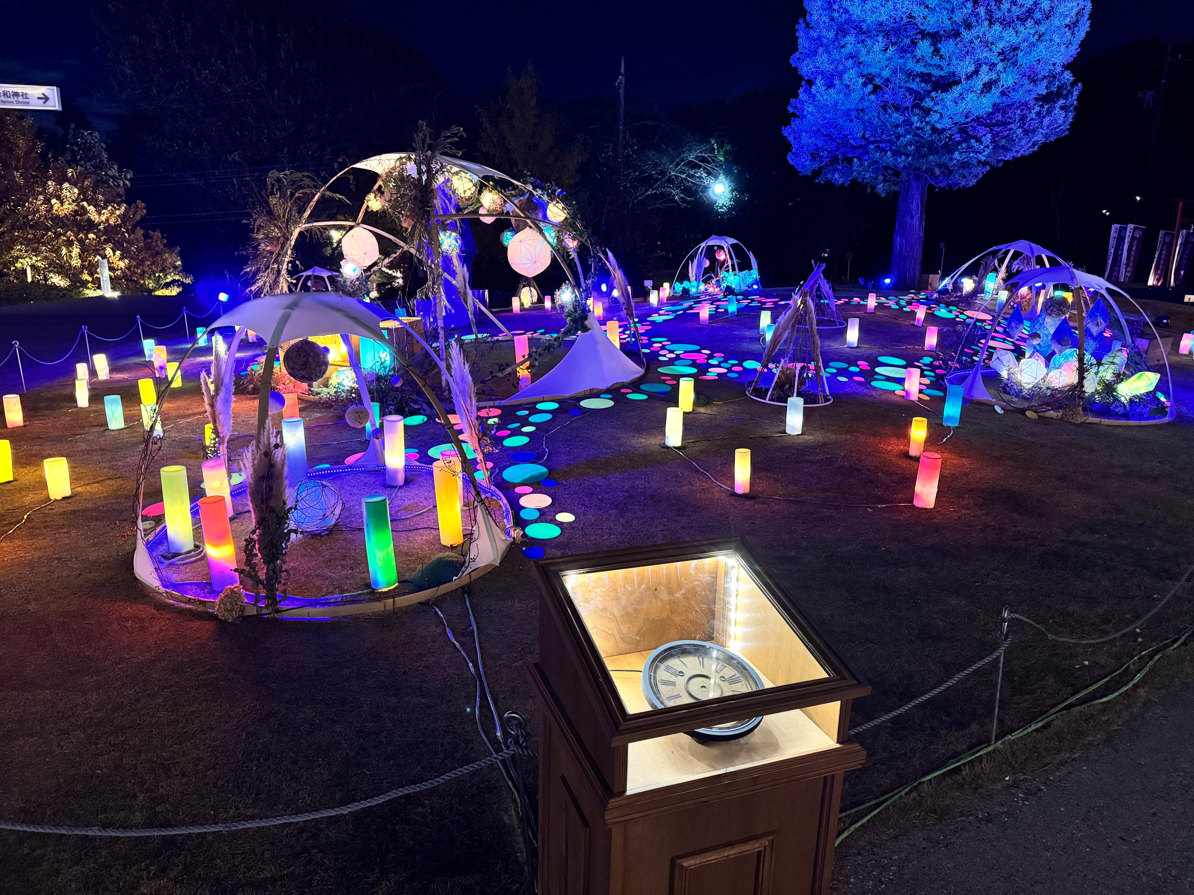 黄昏】の光がやさしく照らす、幻想的なアート空間で特別な冬時間を