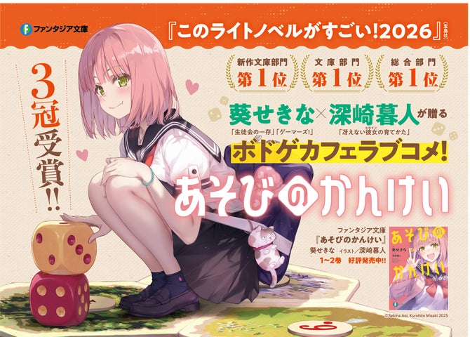 あそびのかんけい 2冊セット まとめ売り ライトノベル ラノベ あそびのかんけい 2冊セット まとめ売り ライトノベル ラノベ