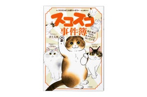 青ブタ』短編小説集発売決定! 本日より予約受付スタート《限定 青ブタ』短編小説集発売決定! 本日より予約受付スタート《限定