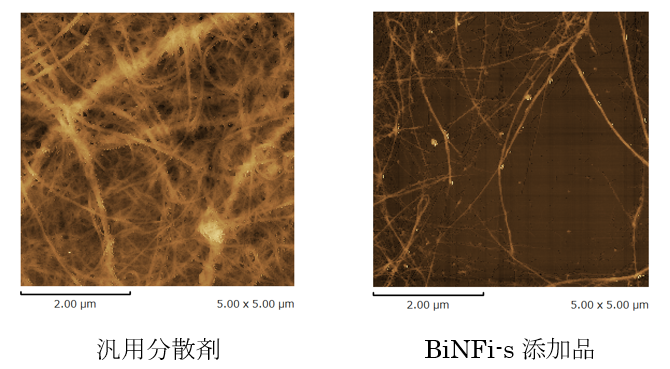 CNT分散液のSPM＊3像