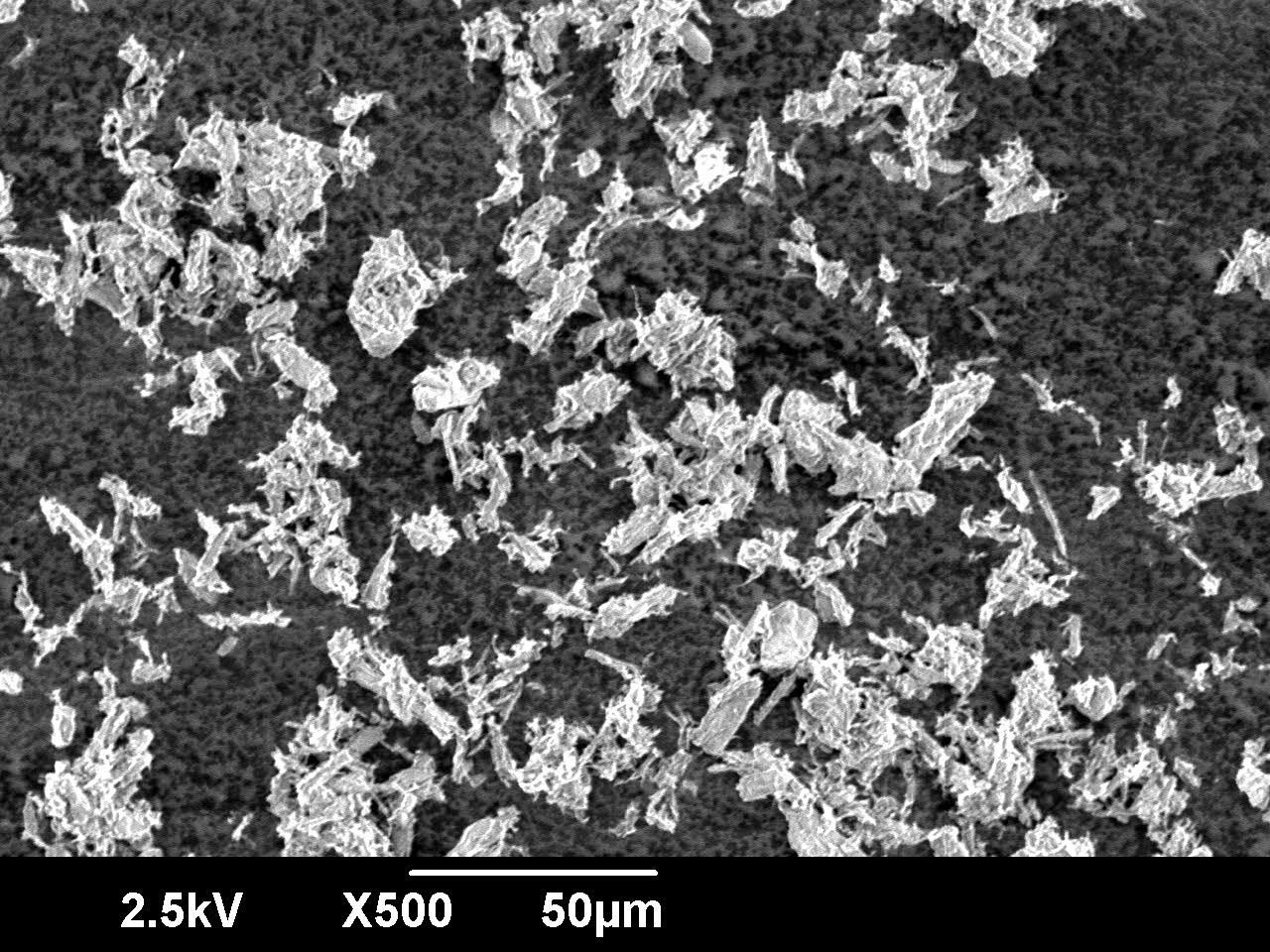 図2 電顕画像（500倍）
