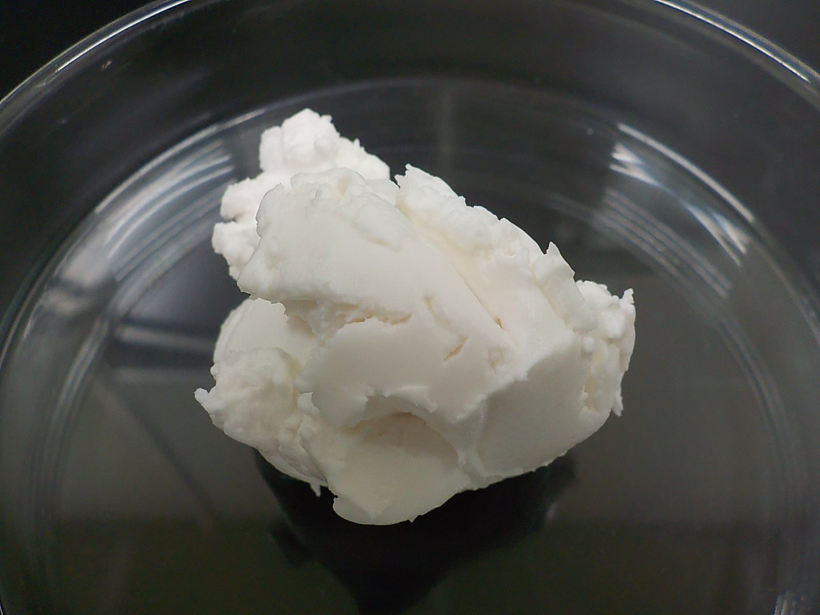 図1 外観（濃度25wt%）