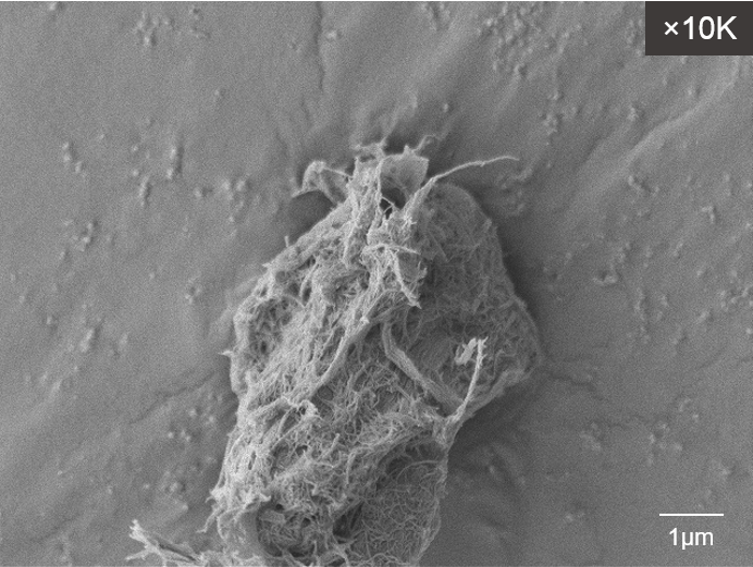 図3 電顕画像（10000倍）