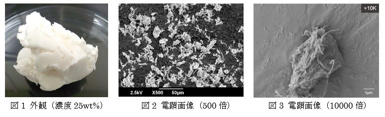 環境配慮型の原料 セルロースナノファイバー Cnf 活用に関する技術資料を公開 株式会社スギノマシンのプレスリリース 環境配慮型の原料 セルロースナノファイバー Cnf 活用に関する技術資料を公開 株式会社スギノマシンのプレスリリース