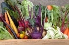 ファームサポート千葉