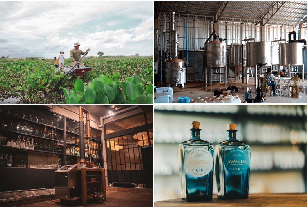 エコプロ2023で水草を利用したエコシステムを披露! エコプロ2023で水草を利用したエコシステムを披露!