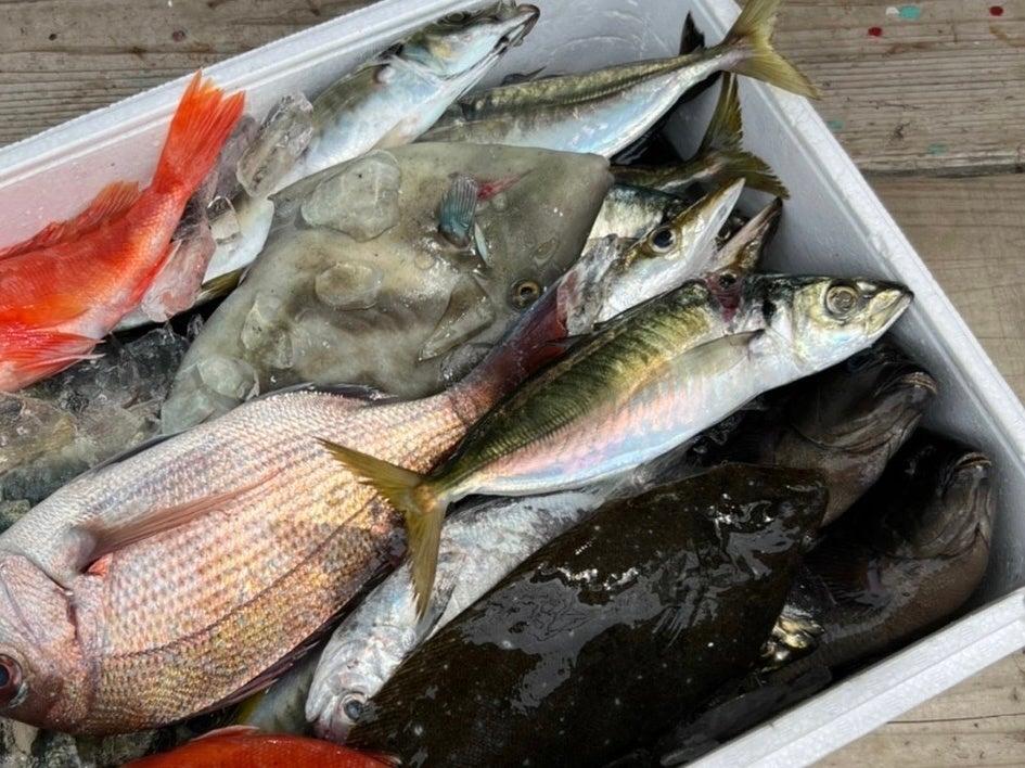 あの もったいない食堂 が三浦海岸にオープン 余剰野菜のみならず お魚やパンの もったいない食材 も使用 株式会社アップサイクルジャパンのプレスリリース あの もったいない食堂 が三浦海岸にオープン 余剰野菜のみならず お魚やパンの もったいない食材 も使用 株式会社アップサイクルジャパンのプレスリリース