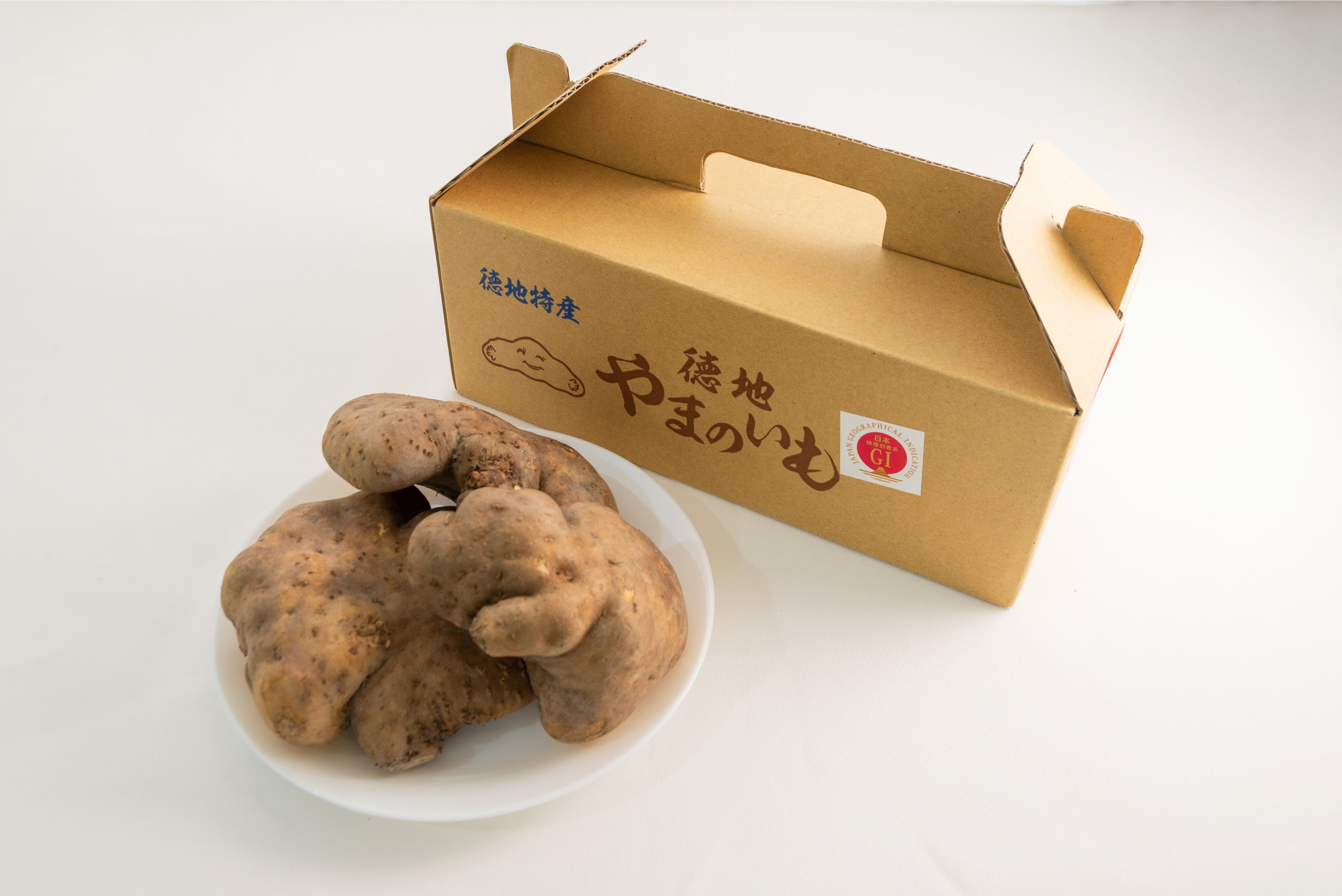 徳地やまのいも（山口県農業協同組合防府とくぢ北部営農センター（生産者団体：徳地やまのいも生産組合））