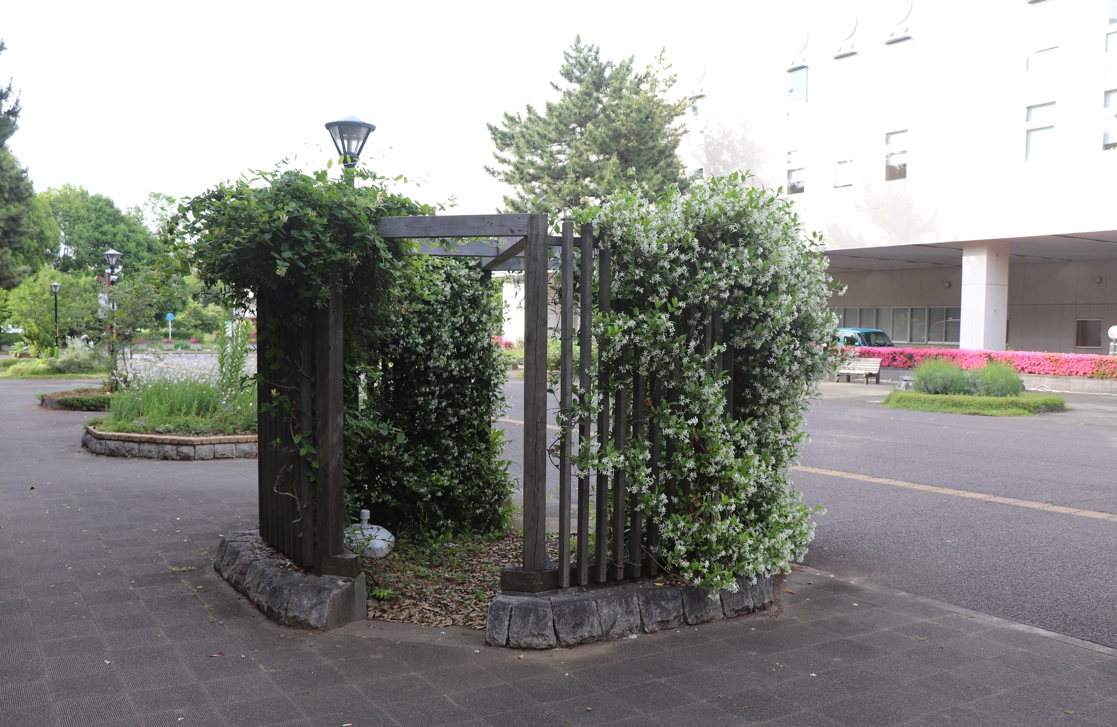 内部に段差ができているパーゴラ