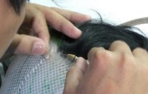 手作業による植毛