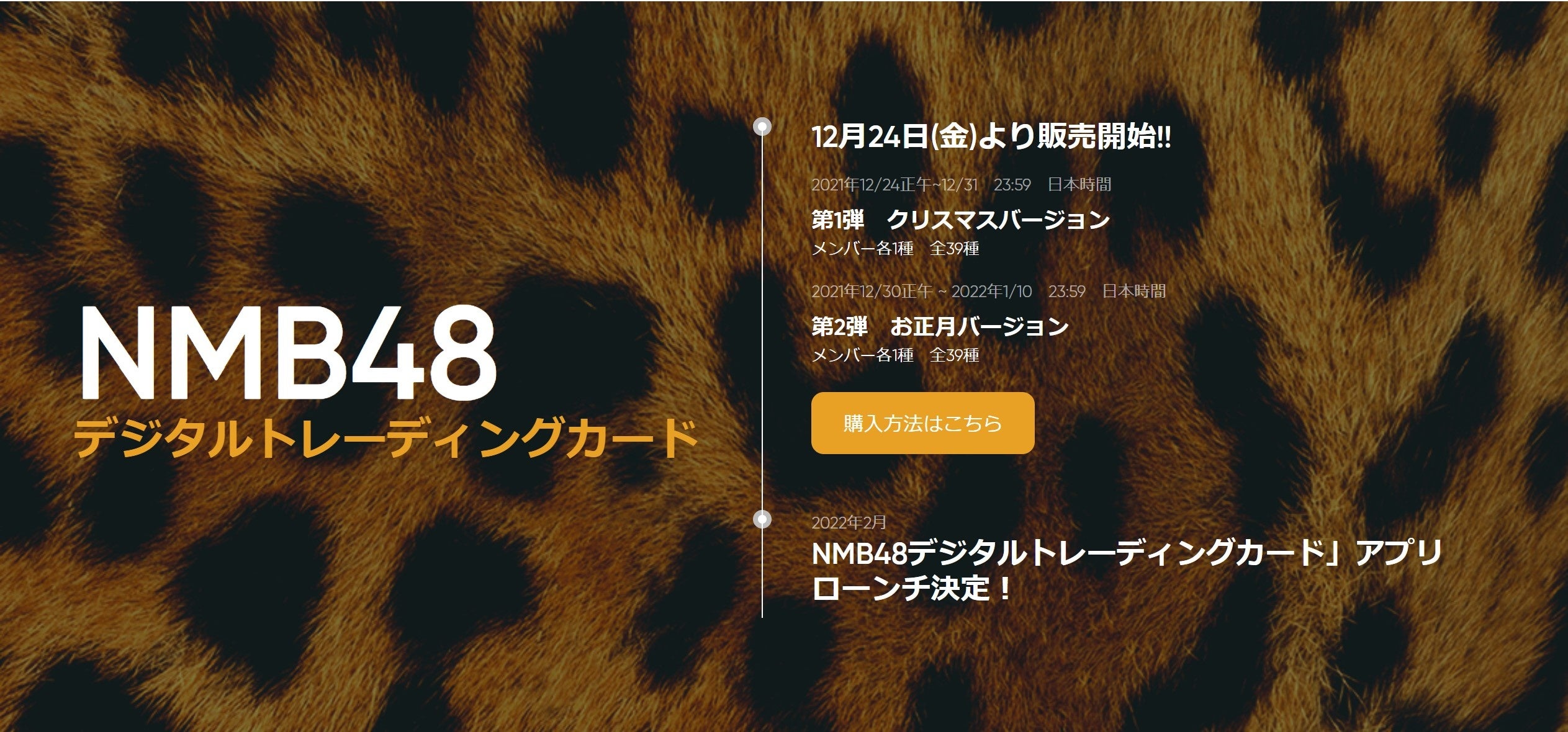 NFT 『NMB48デジタルトレーディングカード』発売 | X