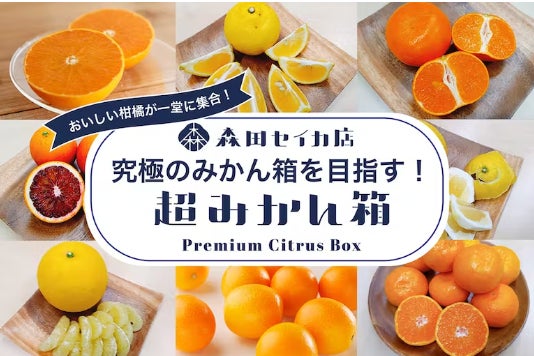 青果店とダンボールメーカーの家業持ちがコラボ 究極のみかんの